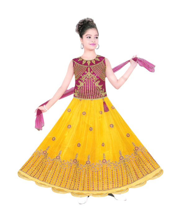 Women's Pink & Yellow Lehenga Choli Set. Net Fabric with Thread Work.