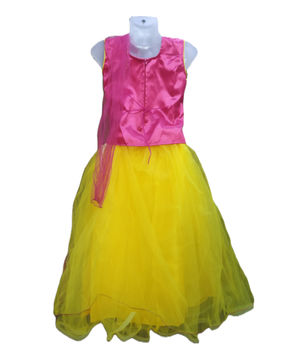 Women's Pink & Yellow Lehenga Choli Set. Net Fabric with Thread Work. - Image 4
